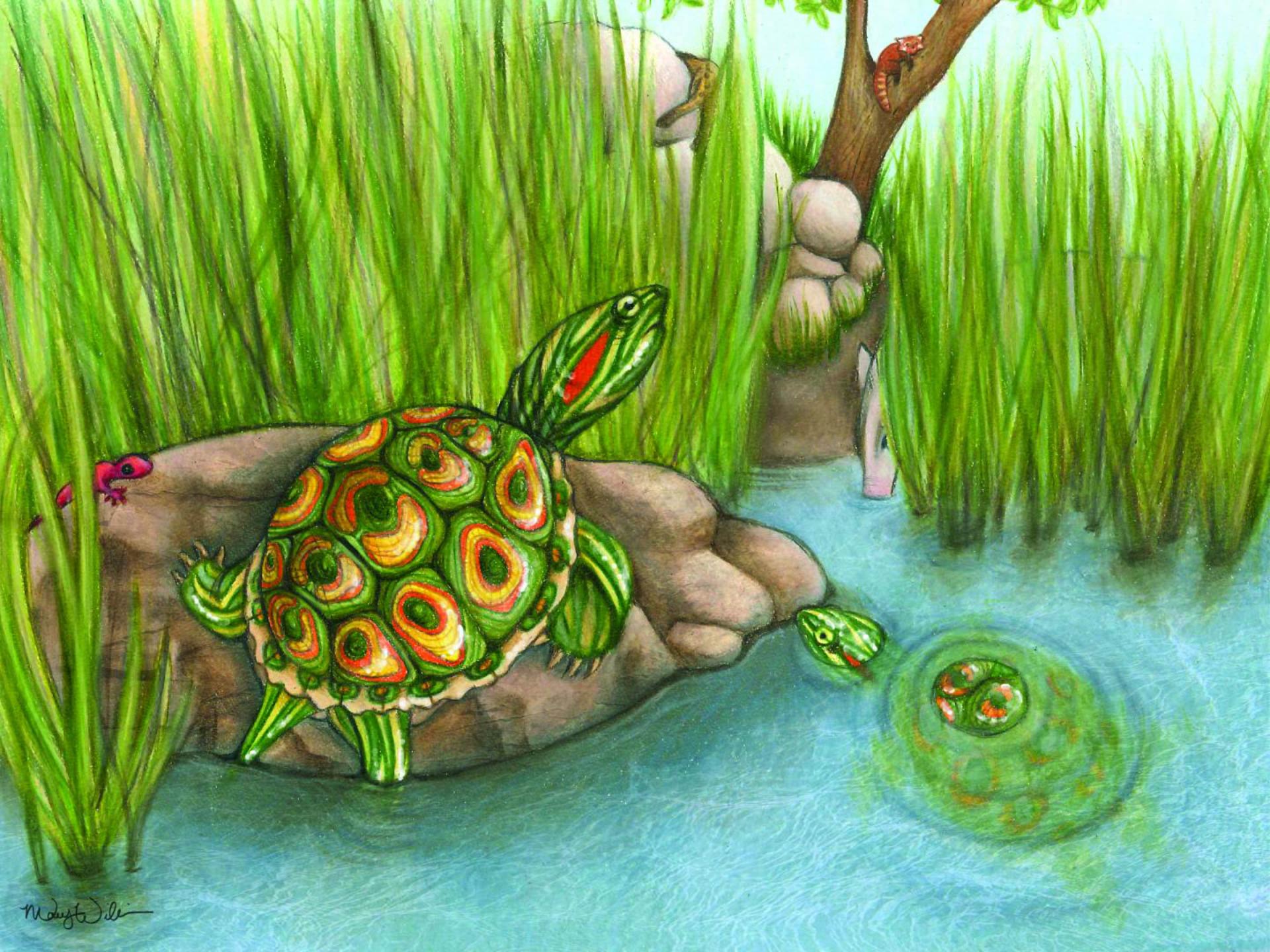 Красноухая черепаха мультяшная