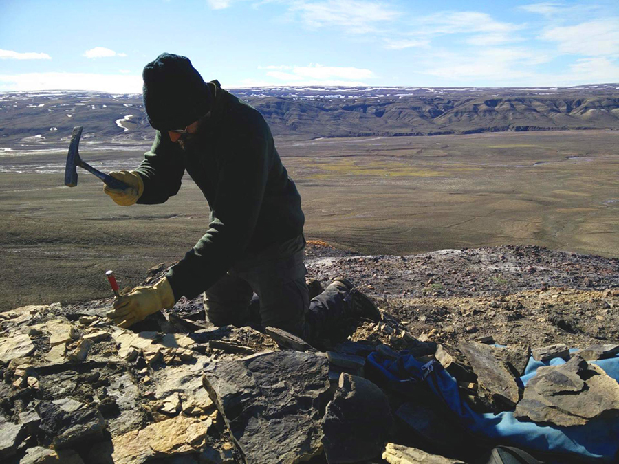 Dr. West hunts for fossils using a rock hammer to split apart shale on Ellesmere Island. Image credit: Markus Sudermann.