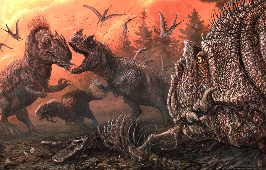 Ceratosaurus and Allosaurus fighting over the desiccated carcass of another theropod. Image credit: Brian Engh, dontmesswithdinosaurs.com.