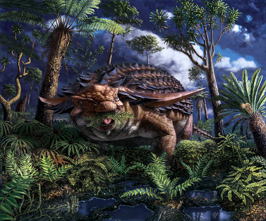 Life reconstruction of the armored dinosaur Borealopelta markmitchelli, which lived in what is now Alberta, Canada, some 110 million years ago, eating ferns. Image credit: Julius Csotonyi / Royal Tyrrell Museum.