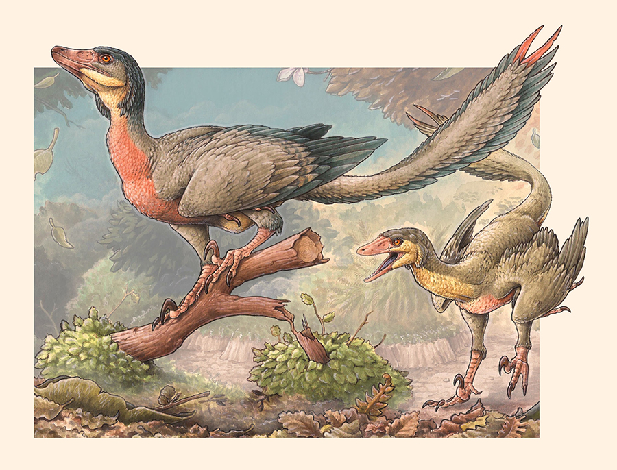 Life reconstruction of an adult and a juvenile Overoraptor chimentoi. Image credit: Gabriel Lio.