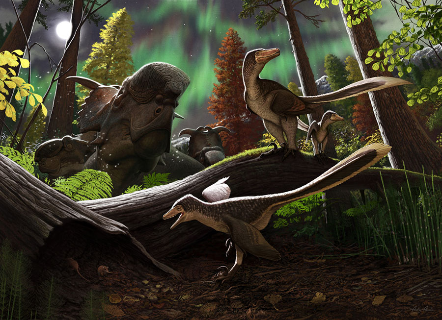 Life reconstruction of the Alaskan saurornitholestine dinosaur in its environment. Image credit: Andrey Atuchin.