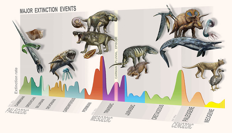 Summary of major extinction events through time, highlighting the Carnian Pluvial Episode at 233 million years ago. Image credit: D. Bonadonna / MUSE, Trento.