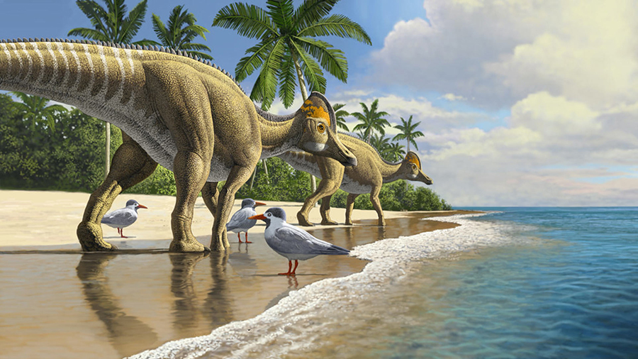 An artist’s impression of a group of hadrosaurs. Image credit: Raul Martin.