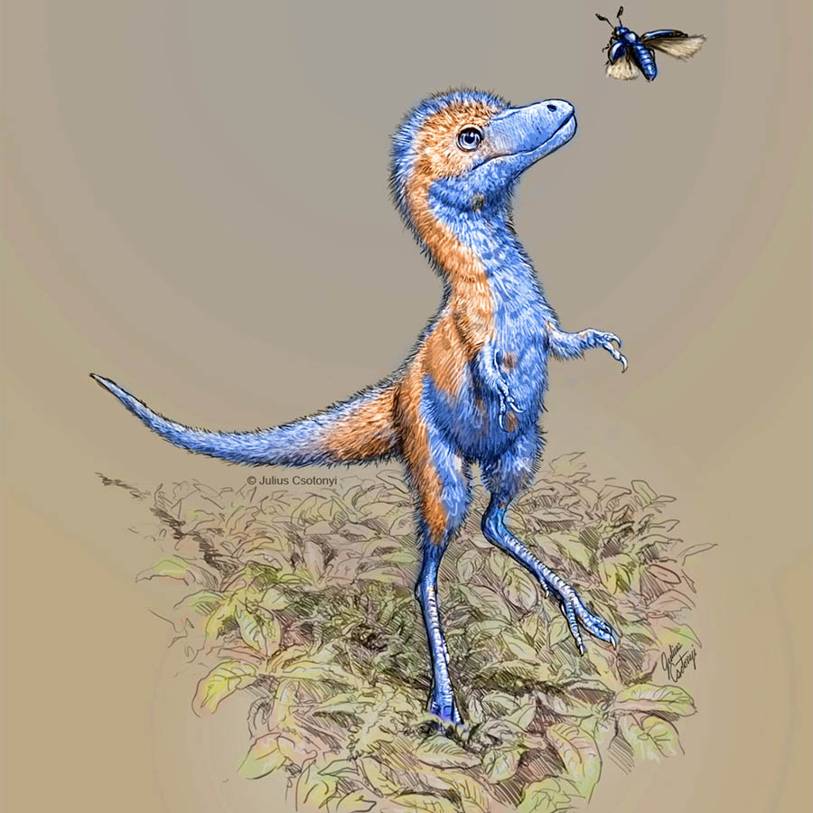 An artist’s impression of a juvenile tyrannosaur. Image credit: Julius Csotonyi.