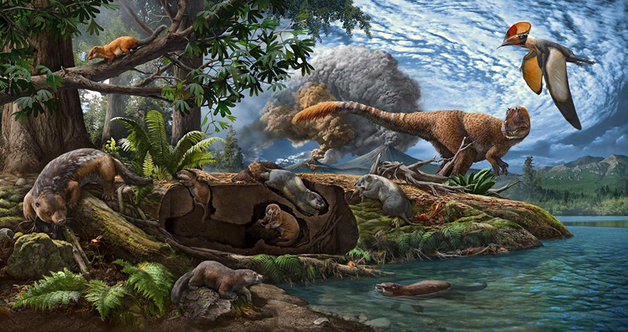 The dioramic landscape illustrates the Early Cretaceous Jehol Biota with emphasis on mammaliamorphs. Image credit: Chuang Zhao.