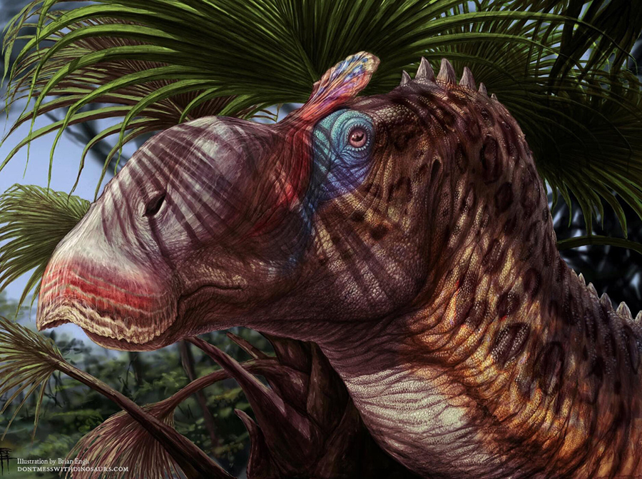 Life restoration of Ornatops incantatus. Illustration by Brian Engh – http://dontmesswithdinosaurs.com, commissioned by Western Science Center.