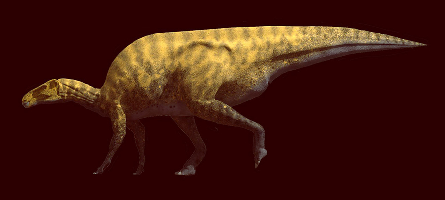 An artist’s impression of Portellsaurus sosbaynati. Image credit: Santos-Cubedo et al., doi: 10.1371/journal.pone.0253599.