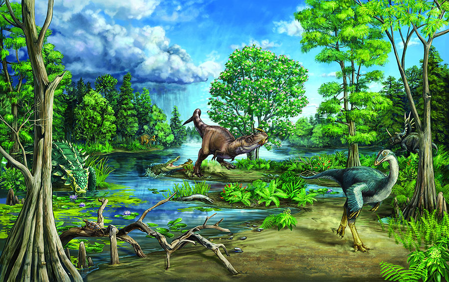This mural was originally made for a recent Royal Ontario Museum exhibit about a fossil ankylosaur named Zuul crurivastator. That fossil is found within a couple of meters stratigraphically/temporally of the site described in this paper. The last author on the study, David Evans, is the dinosaur curator at the Royal Ontario Museum and was also involved in the description of Zuul and design of that exhibit. Credit: Danielle Dufault, Royal Ontario Museum.