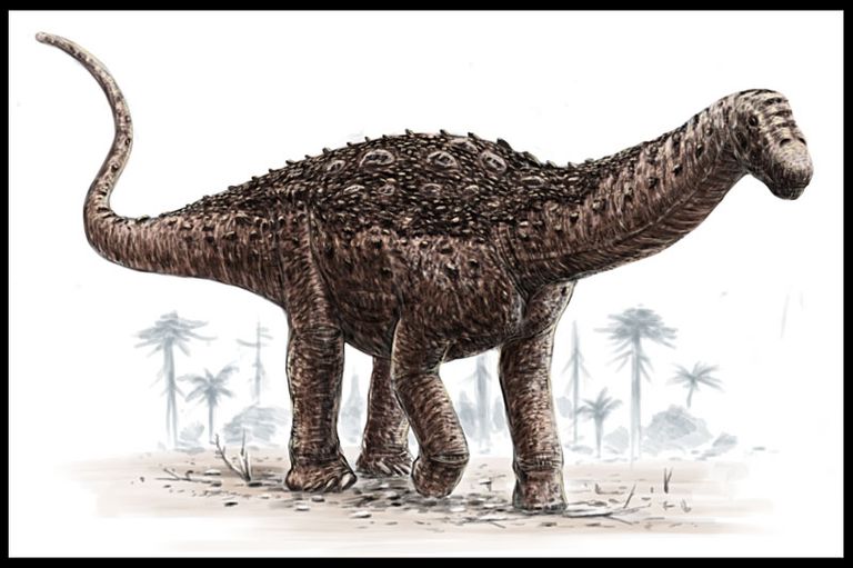  Saltasaurus, from which Argentinosaurus was reconstructed (Alain Beneteau). 