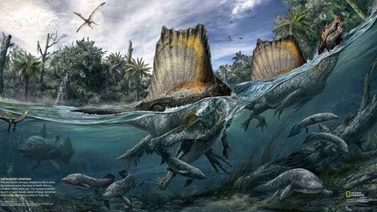 Spinosaurus. Image: National Geographic