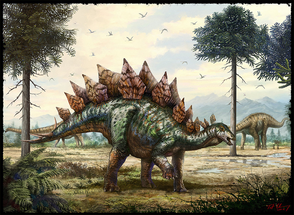 Stegosaurus stenops by cheungchungtat