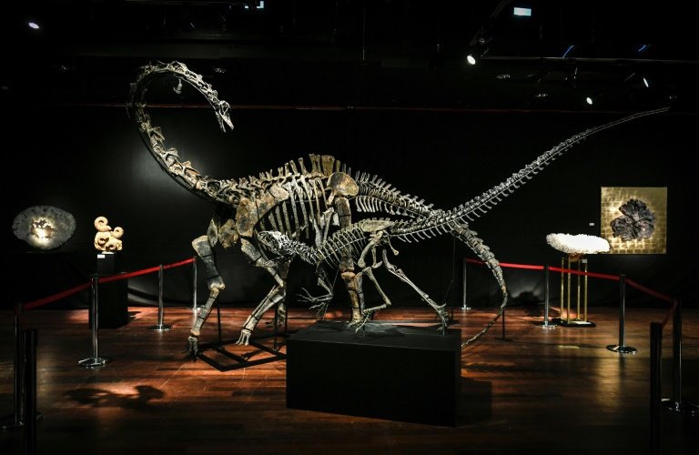 Dinosaur skeletons, including the two being auctioned this week, are increasingly being sought as interior design objects, in particular by Chinese buyers