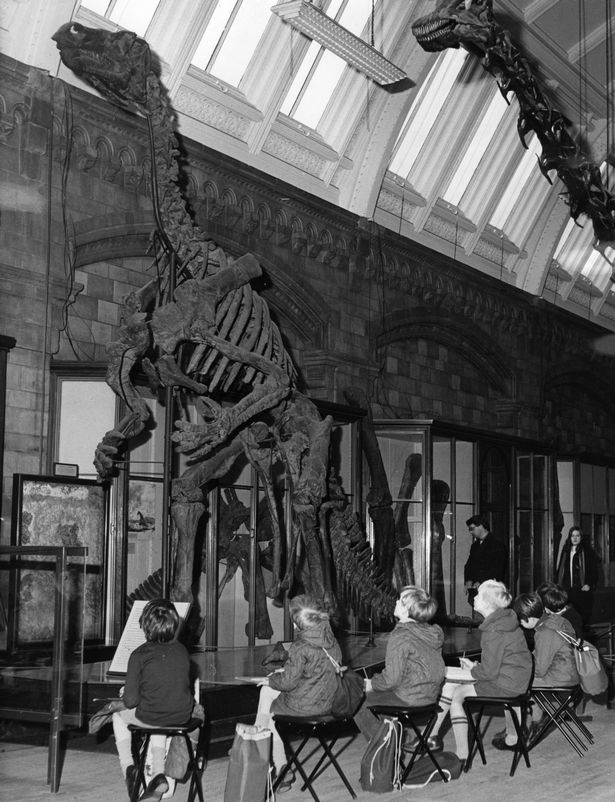 Children sketching a skeleton of the Iguanodon dinosaur at the Natural History Museum in 1970 (Image: Harry Todd/Fox Photos/Getty Images)