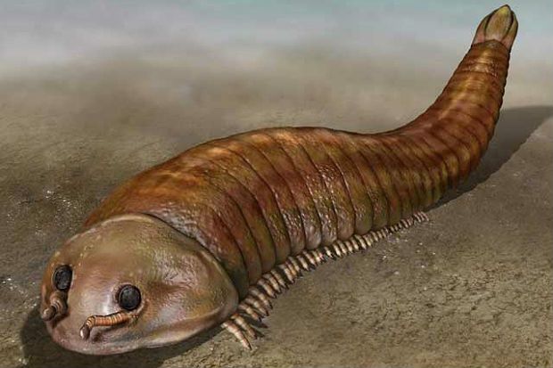 It may be ancient but it had a heart: 'Fuxianhuia protensa', a primitive precursor to crustaceans, is the earliest creature we know that had a cardiovascular system.