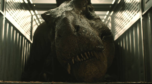 Rexy in cage.