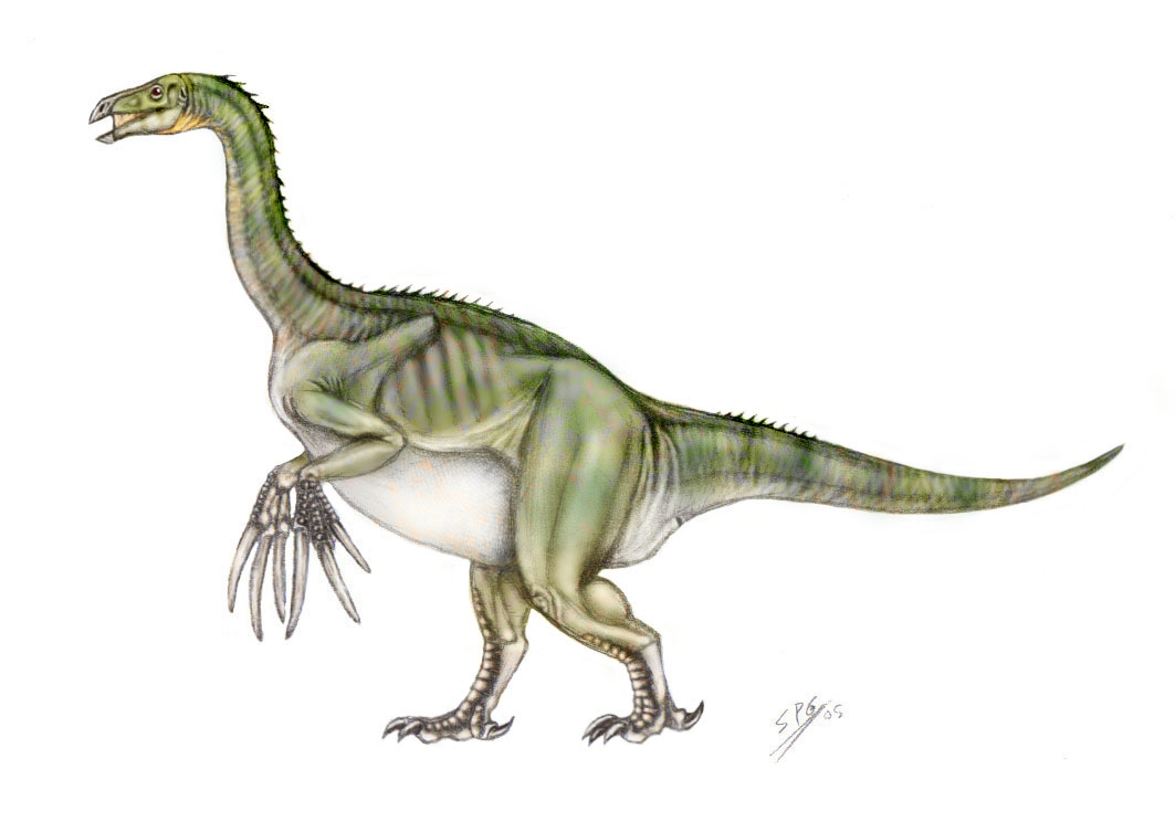 Therizinosaurus cheloniformis by unlobogris