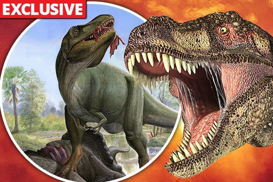 THEORIES: Several noted scientists have alternative theories for the dinosaurs' extinction (Pic: Getty)