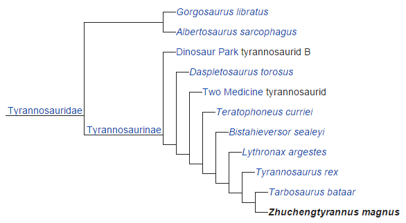 Tyrannosauridae cladogram
