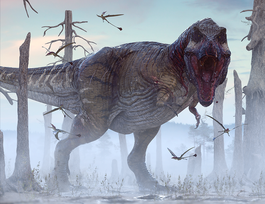 Our Fascination With Tyrannosaurus Rex Paleontology World 