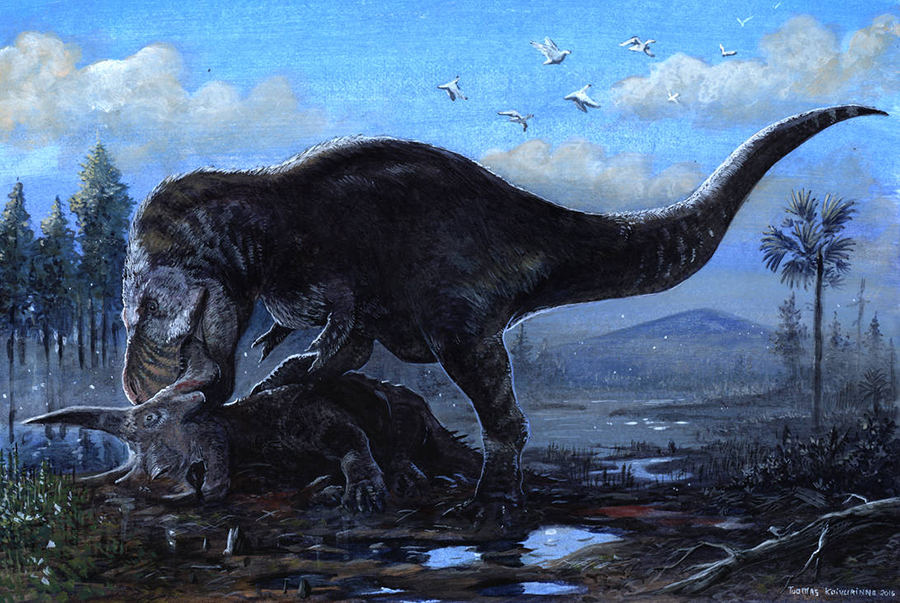 Tyrannosaurus rex feasting on Triceratops prorsus by tuomaskoivurinne