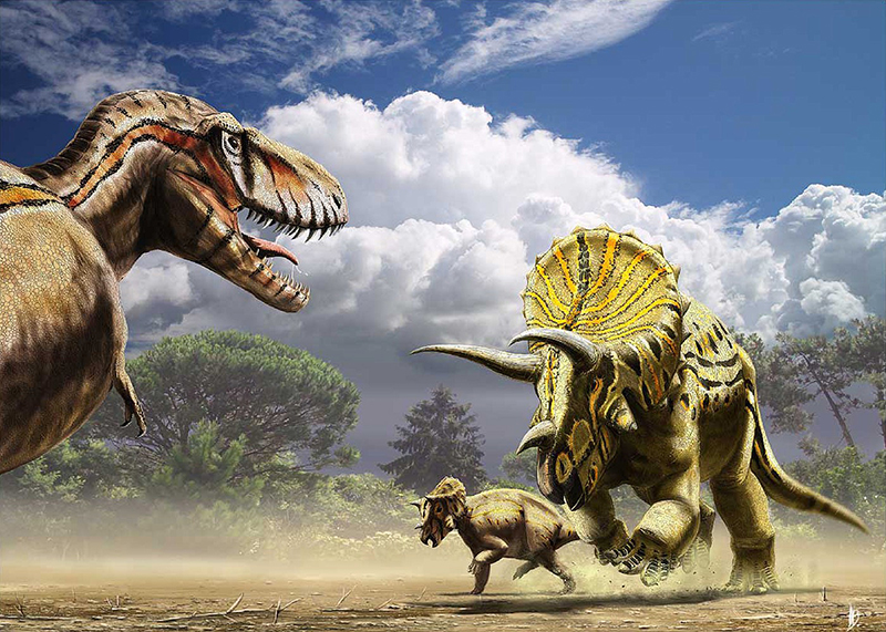 Tyrannosaurus und Triceratops / © Alain Bénéteau