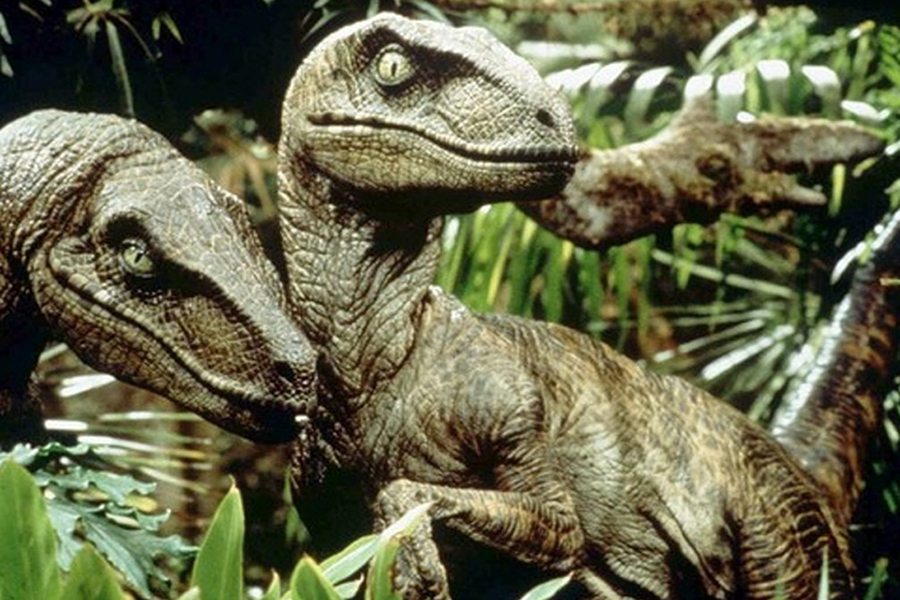 Did You Know the Raptor Sounds in 'Jurassic Park' Were Made from Turtle Sex?