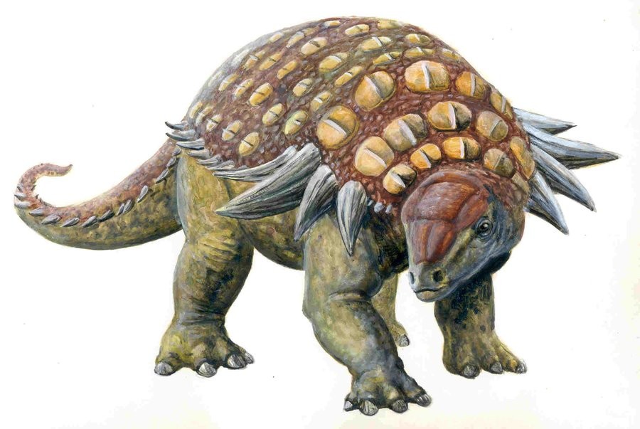 Edmontonia by Glyptodon graphycus 